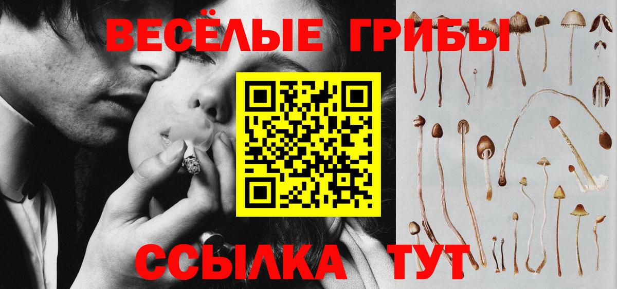 Галлюциногенные грибы Magic Shrooms Сосновоборск