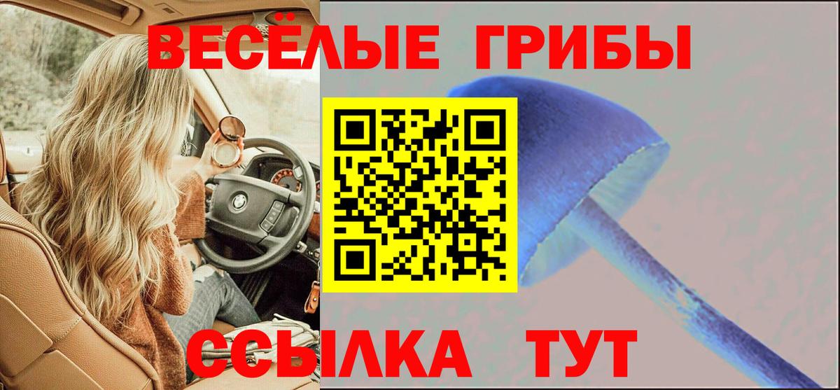 Сосновоборск  Галлюциногенные грибы прущие грибы  Вход с VPN  Псилоцибиновые грибы Psilocybine cubensis 